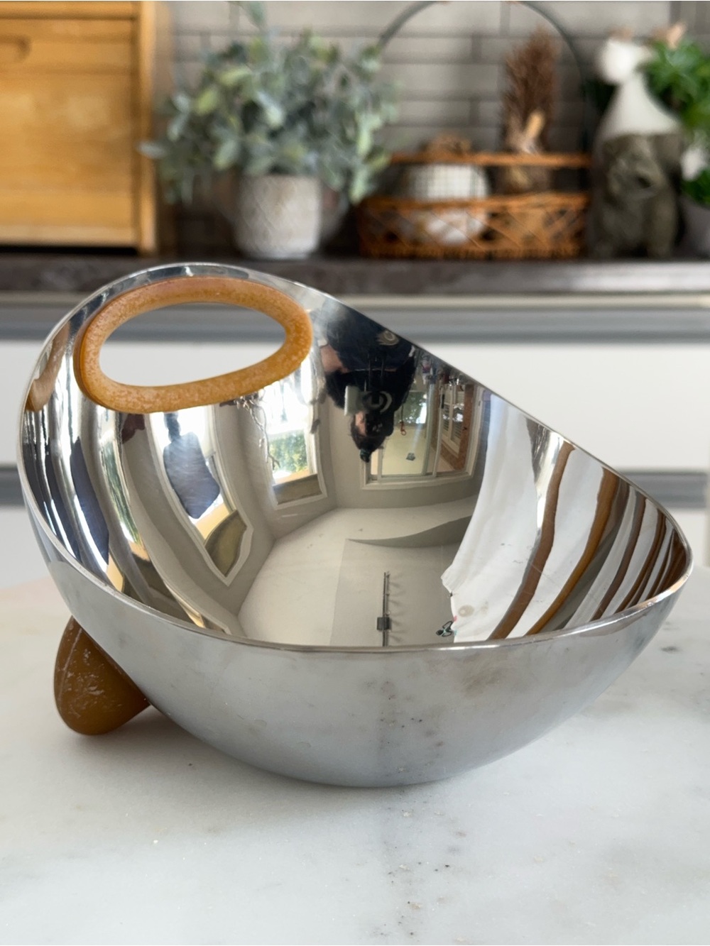 WETNOZ Stainless Steel Pet Bowl & Modern Decorative Serving Bowl